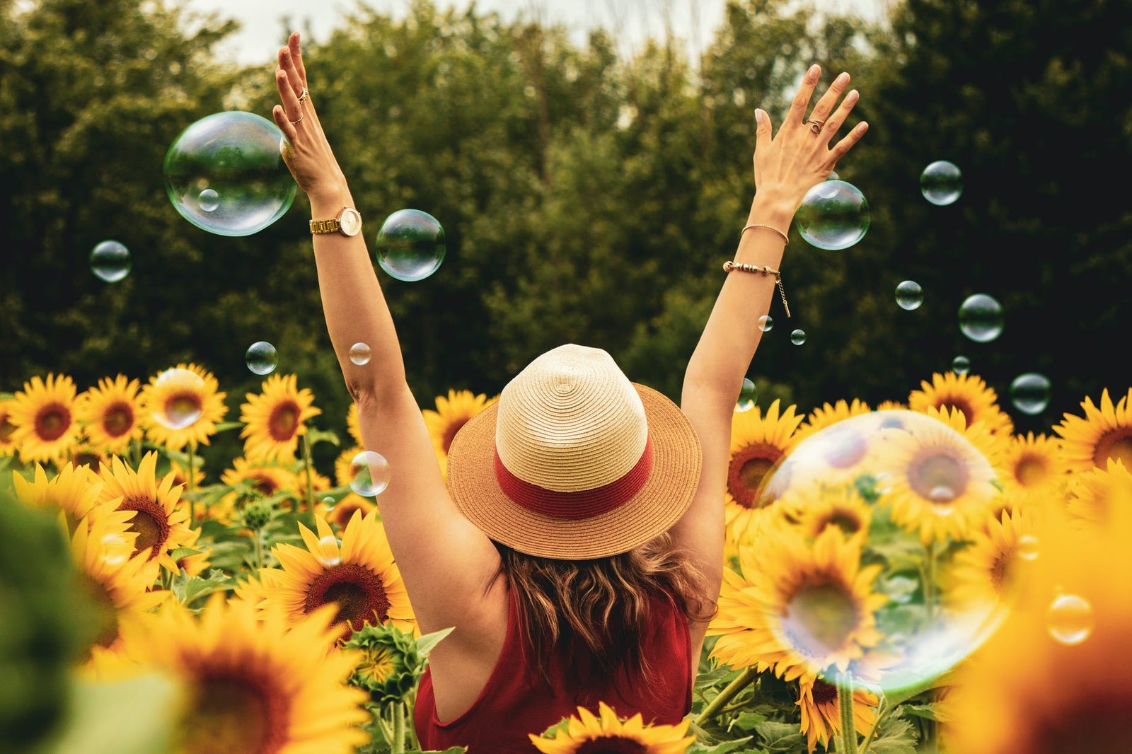 Prepare for Summer well